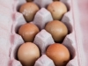 pheasant eggs Union Square Greenmarket - NYC