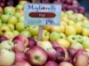 Apples Union Square Greenmarket - NYC