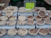 Fresh pies Union Square Greenmarket - NYC