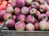 apples Union Square Greenmarket - NYC